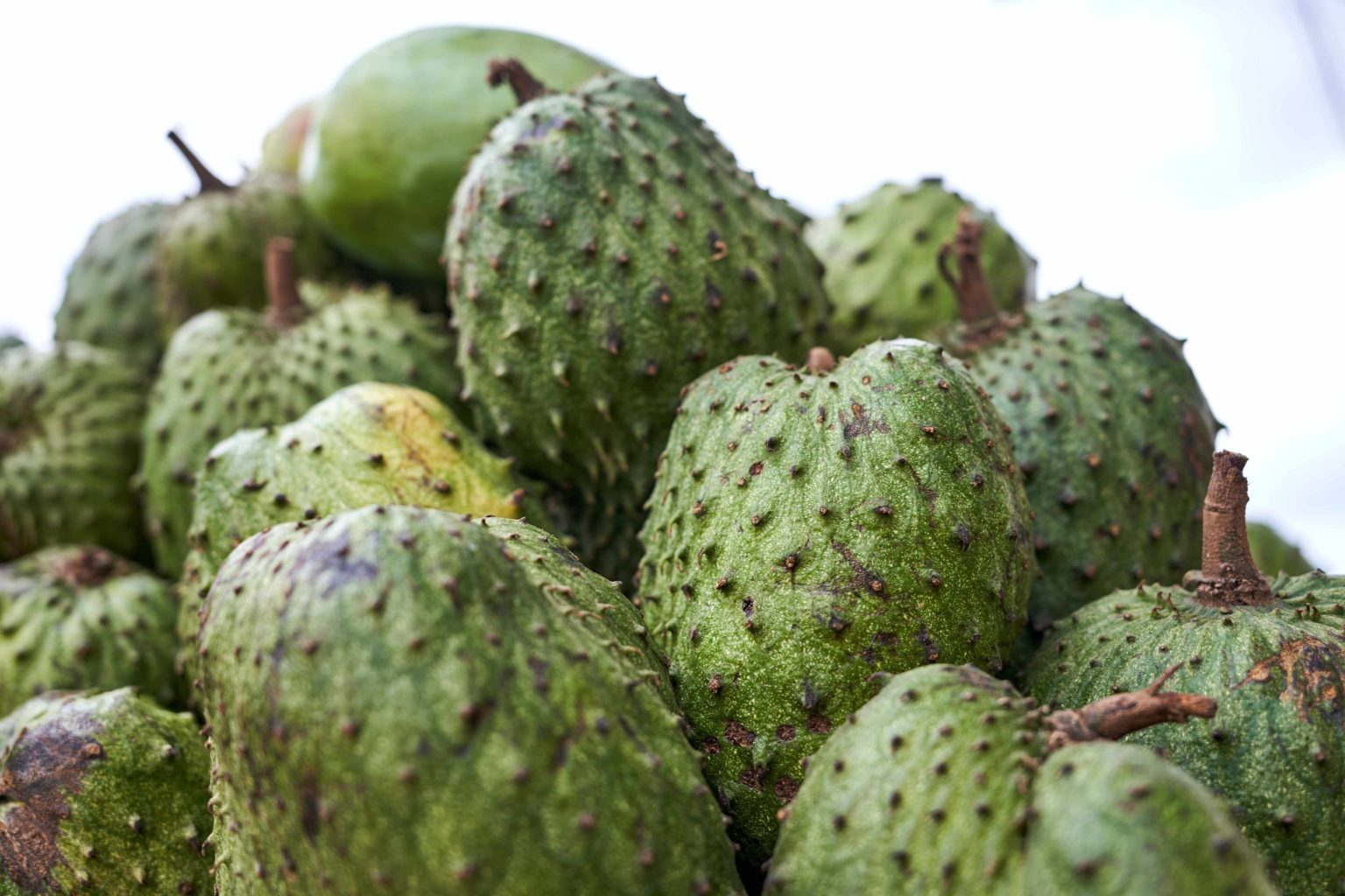 The list of fruits to eat in Madagascar - explurt.com